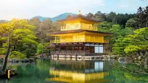 Visitar Templo Kinkakuji