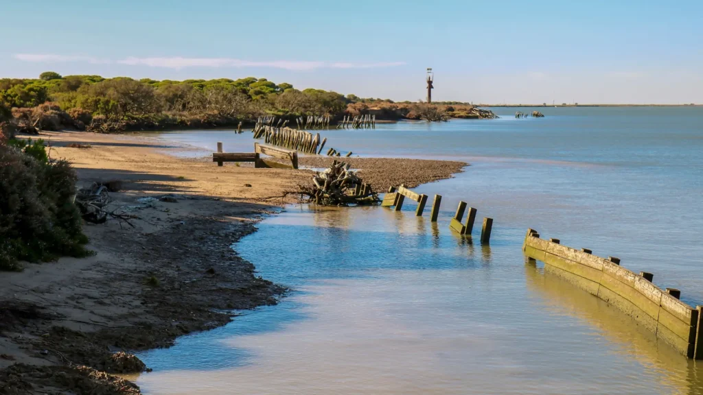 Matalascañas - Doñana