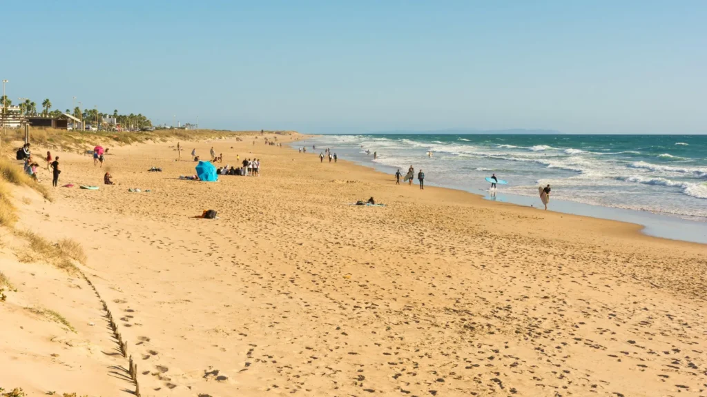 Playa de El Palmar (Vejer)